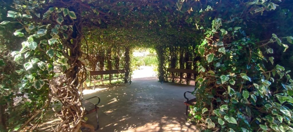 RETIRO DE TRES DÍAS DE SILENCIO DE MEDITACIÓN MINDFULNESS Y COMPASIÓN EN BENICÀSSIM (CASTELLÓN). FECHA: 3, 4 Y 5 MAYO DE 2024