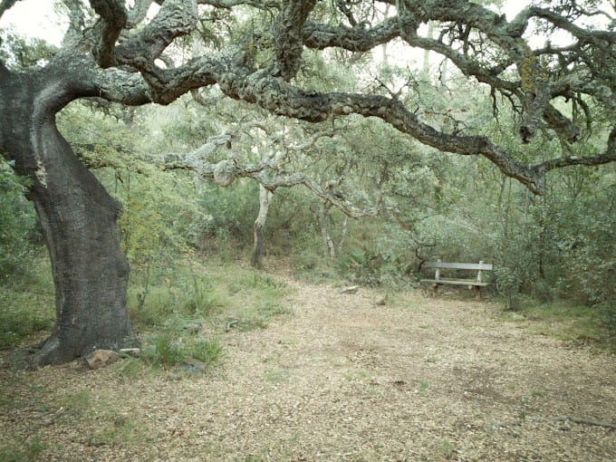 RETIRO YOGA Y NATURALEZA 8 AL 10 NOVIEMBRE
